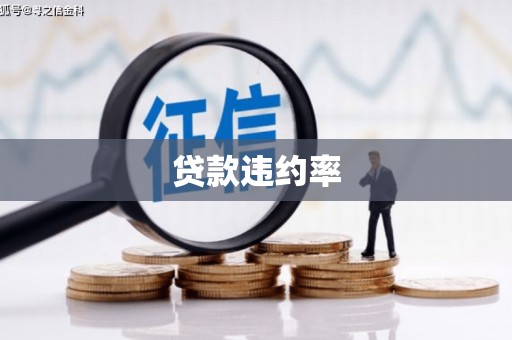 镇安贷款违约率