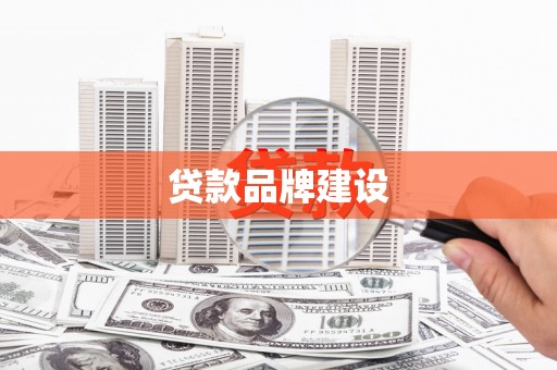 镇安贷款品牌建设