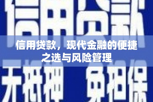 镇安信用贷款，现代金融的便捷之选与风险管理