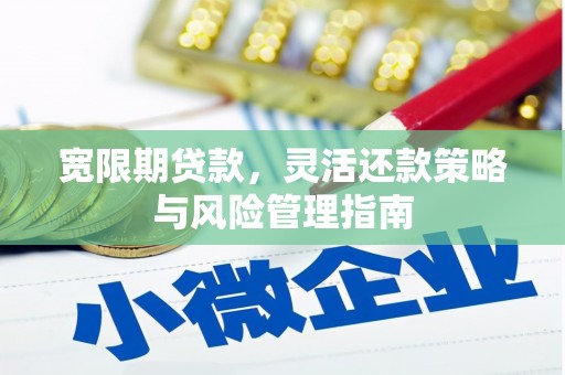 镇安宽限期贷款，灵活还款策略与风险管理指南