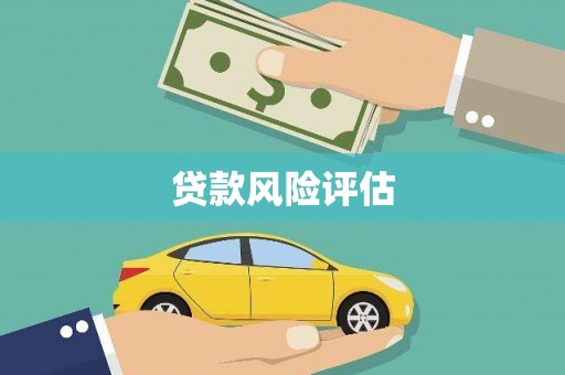 镇安贷款风险评估