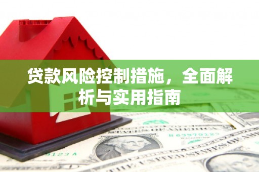镇安贷款风险控制措施，全面解析与实用指南