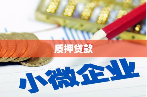 镇安质押贷款