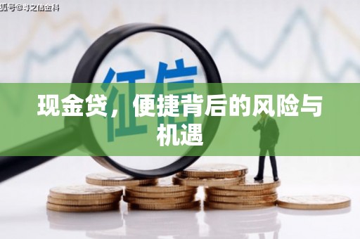 镇安现金贷，便捷背后的风险与机遇