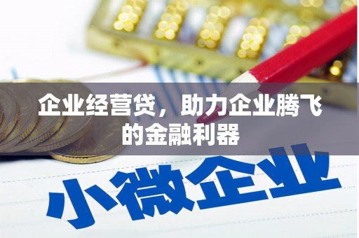 镇安企业经营贷，助力企业腾飞的金融利器