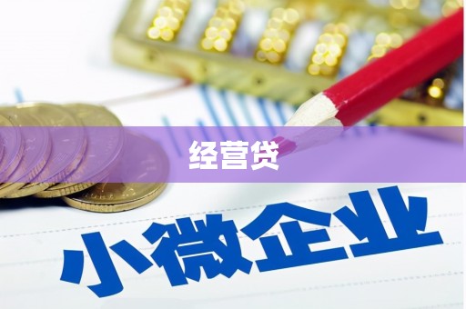 镇安经营贷