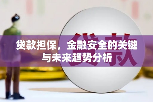 镇安贷款担保，金融安全的关键与未来趋势分析