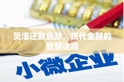 镇安灵活还款贷款，现代金融的智慧选择