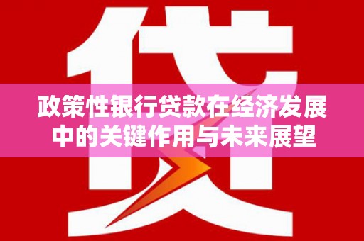 镇安政策性银行贷款在经济发展中的关键作用与未来展望
