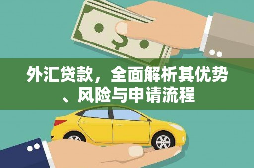 镇安外汇贷款，全面解析其优势、风险与申请流程