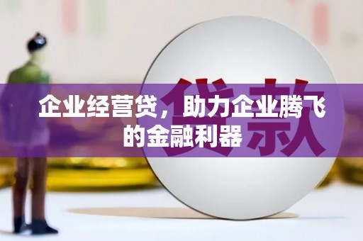 镇安企业经营贷，助力企业腾飞的金融利器
