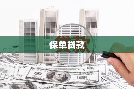 镇安保单贷款