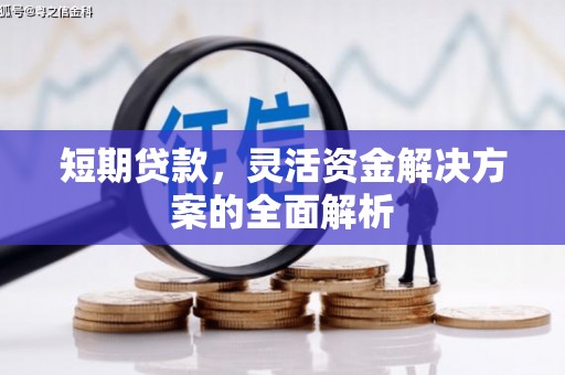 镇安短期贷款，灵活资金解决方案的全面解析