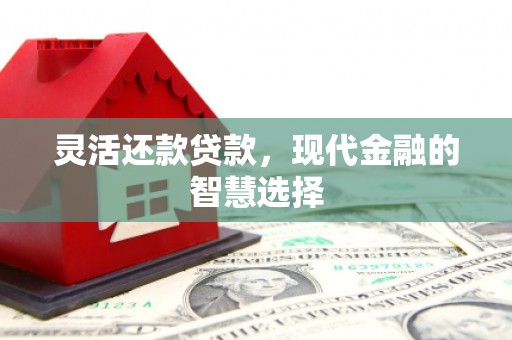 镇安灵活还款贷款，现代金融的智慧选择
