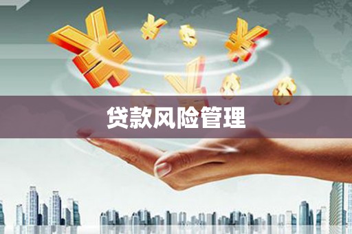 镇安贷款风险管理