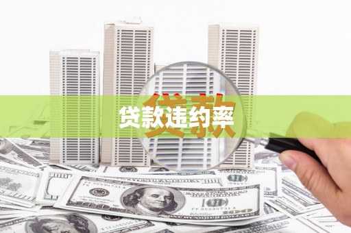 镇安贷款违约率