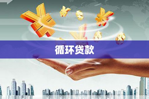 镇安循环贷款