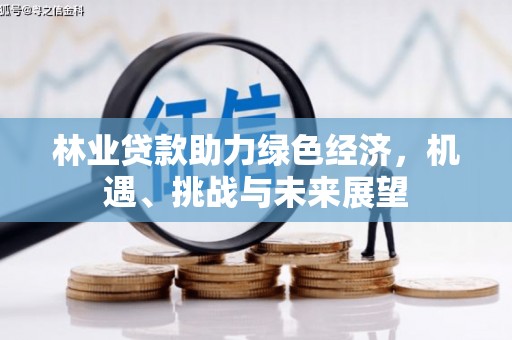 镇安林业贷款助力绿色经济，机遇、挑战与未来展望