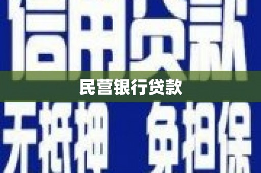镇安民营银行贷款