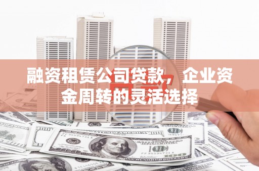 镇安融资租赁公司贷款，企业资金周转的灵活选择