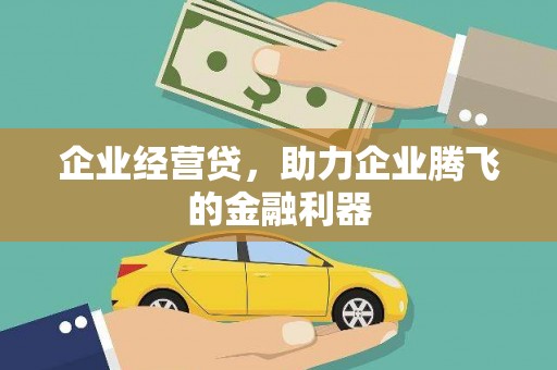 镇安企业经营贷，助力企业腾飞的金融利器