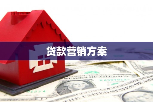镇安贷款营销方案