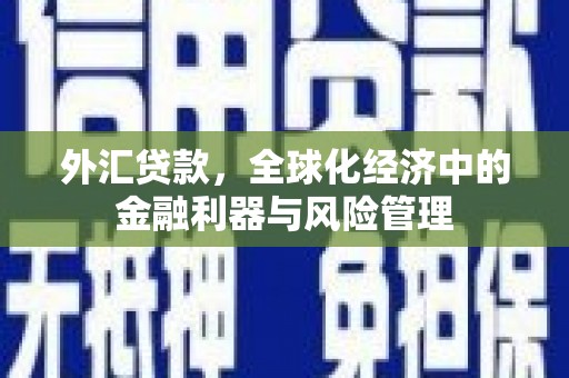 镇安外汇贷款，全球化经济中的金融利器与风险管理
