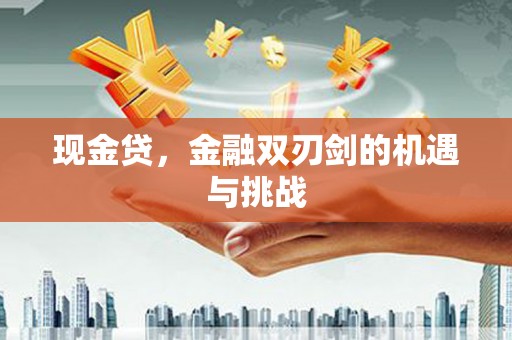 镇安现金贷，金融双刃剑的机遇与挑战