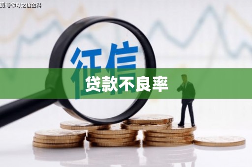 镇安贷款不良率
