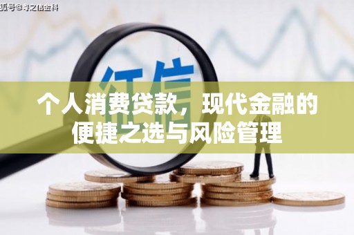 镇安个人消费贷款，现代金融的便捷之选与风险管理