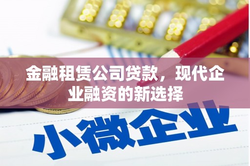 镇安金融租赁公司贷款，现代企业融资的新选择