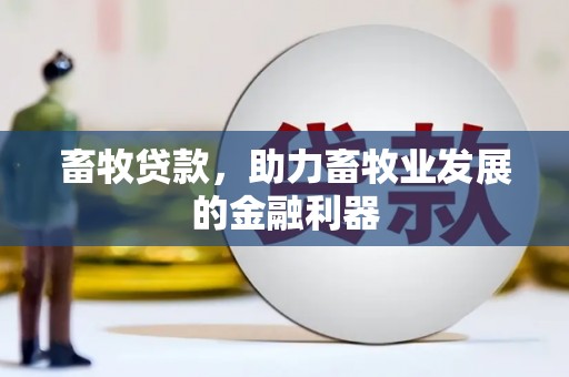 镇安畜牧贷款，助力畜牧业发展的金融利器