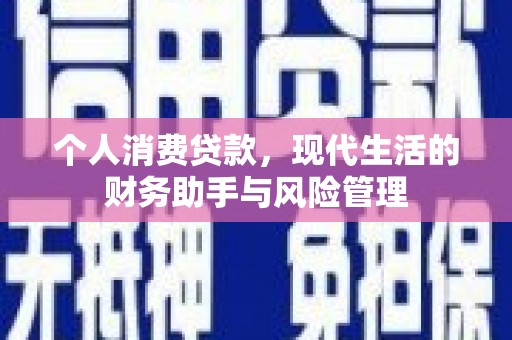 镇安个人消费贷款，现代生活的财务助手与风险管理