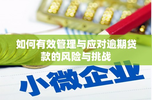 镇安如何有效管理与应对逾期贷款的风险与挑战