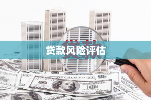 镇安贷款风险评估
