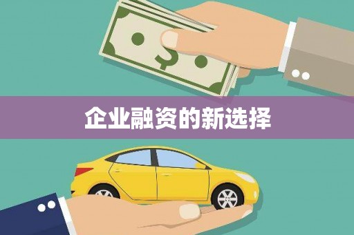 镇安企业融资的新选择