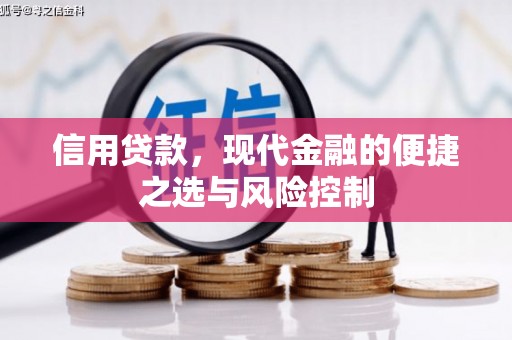 镇安信用贷款，现代金融的便捷之选与风险控制