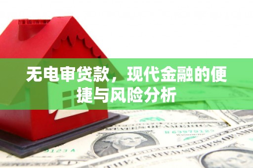镇安无电审贷款，现代金融的便捷与风险分析
