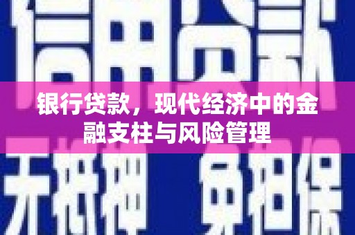 镇安银行贷款，现代经济中的金融支柱与风险管理