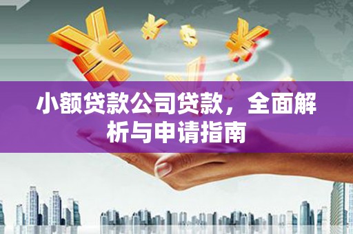 镇安小额贷款公司贷款，全面解析与申请指南