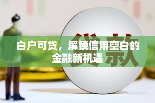 镇安白户可贷，解锁信用空白的金融新机遇