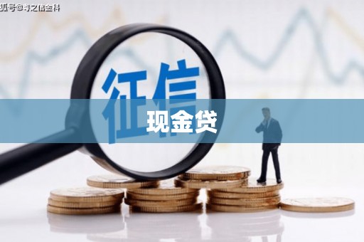 镇安现金贷