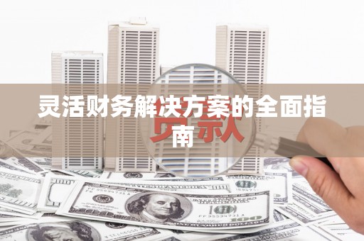 镇安灵活财务解决方案的全面指南