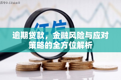 镇安逾期贷款，金融风险与应对策略的全方位解析
