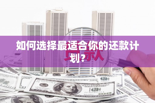 镇安如何选择最适合你的还款计划？