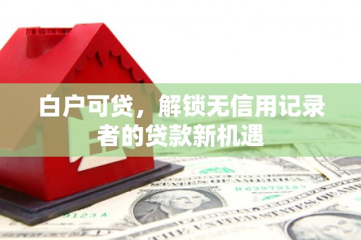 镇安白户可贷，解锁无信用记录者的贷款新机遇