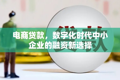 镇安电商贷款，数字化时代中小企业的融资新选择