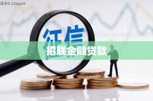 镇安招联金融贷款