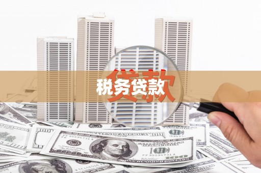 镇安税务贷款