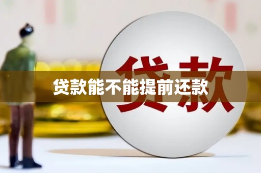 镇安贷款能不能提前还款